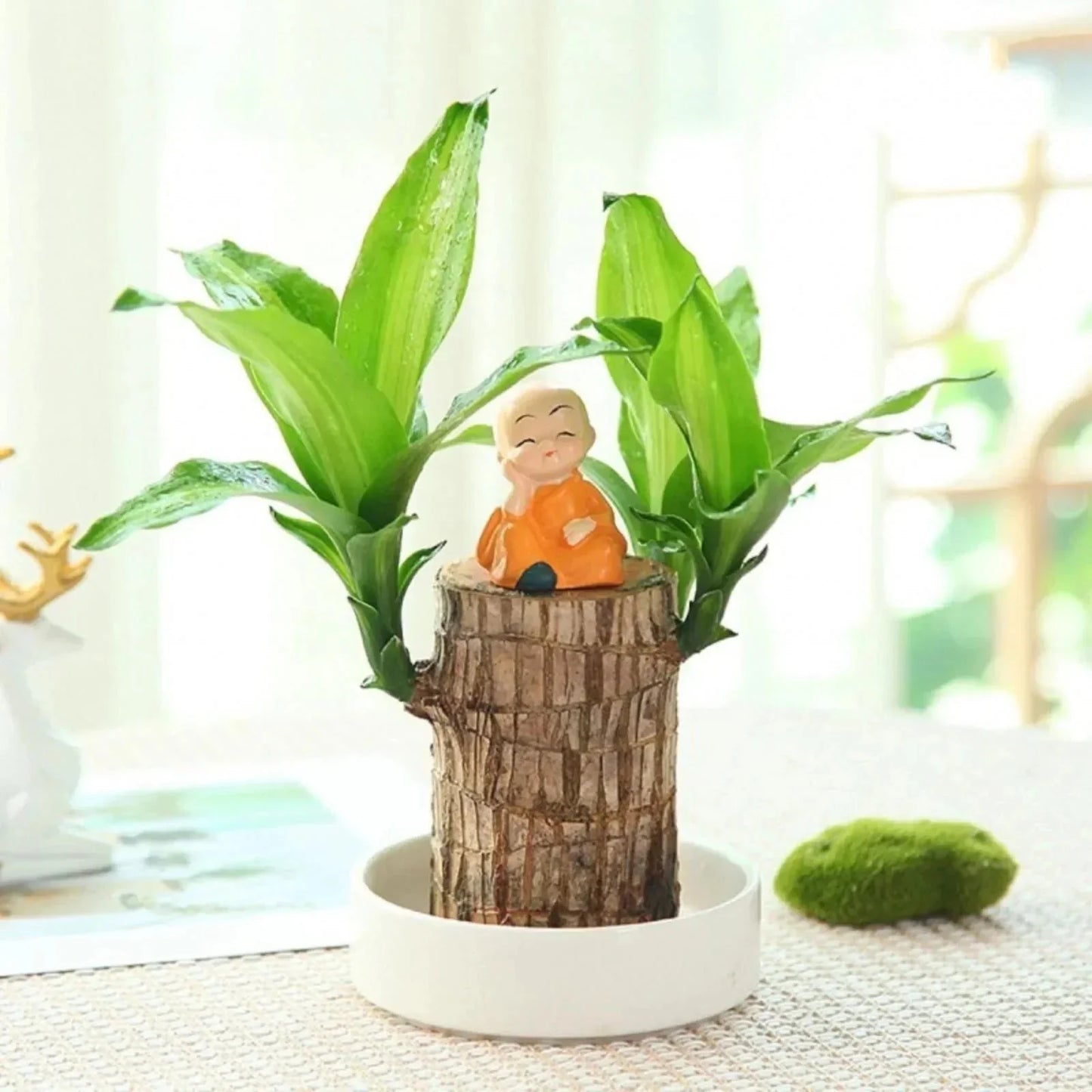 LuckyWood™ Pianta di legno in vaso