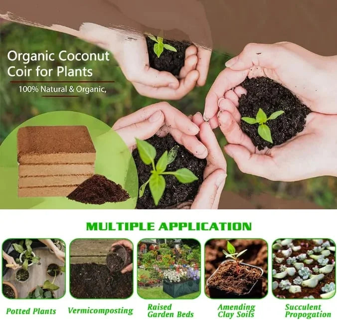 EcoBloom™ Mattoni di cocco biologico di prima qualità per piante