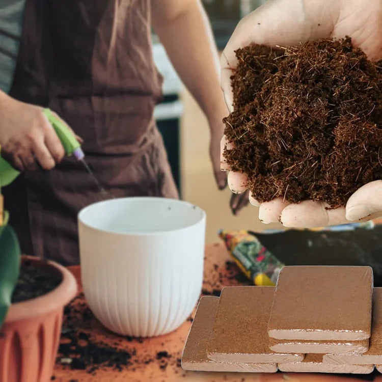 EcoBloom™ Mattoni di cocco biologico di prima qualità per piante