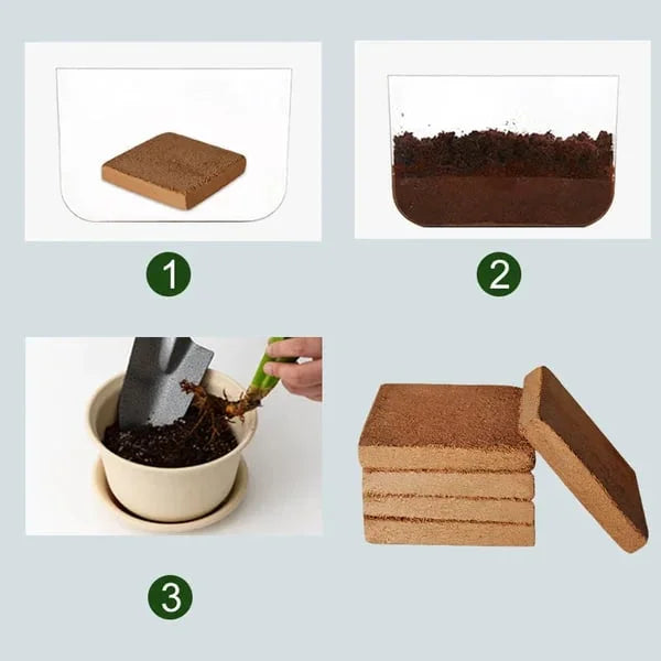 EcoBloom™ Mattoni di cocco biologico di prima qualità per piante
