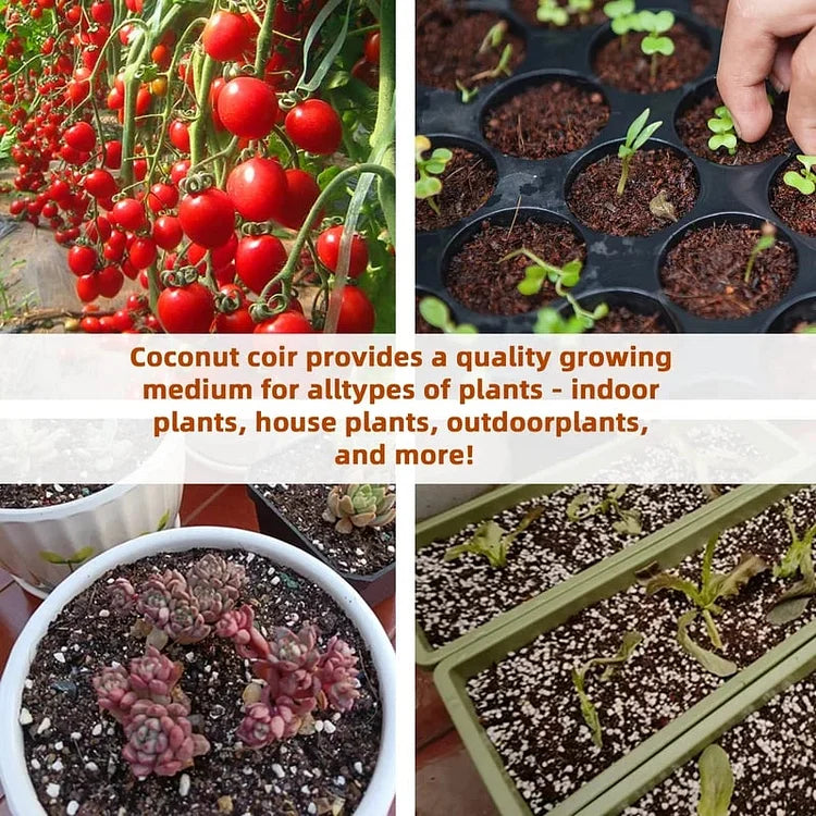 EcoBloom™ Mattoni di cocco biologico di prima qualità per piante