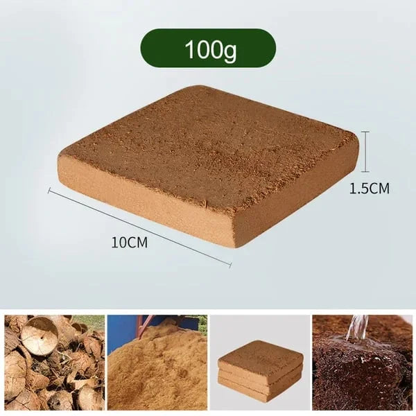 EcoBloom™ Mattoni di cocco biologico di prima qualità per piante