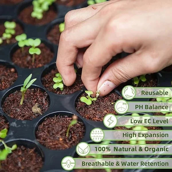EcoBloom™ Mattoni di cocco biologico di prima qualità per piante
