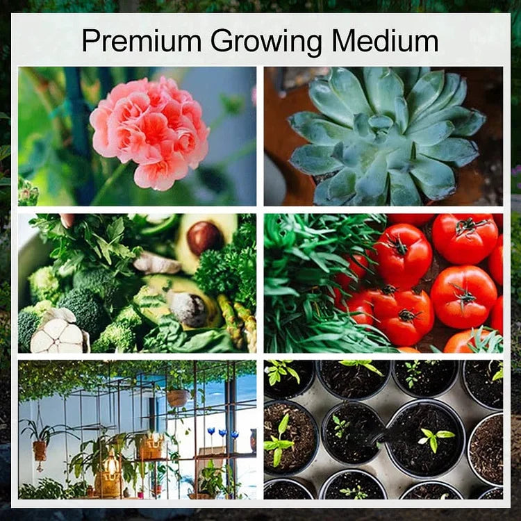 EcoBloom™ Mattoni di cocco biologico di prima qualità per piante