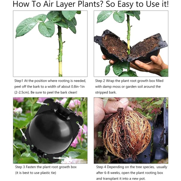 EcoRoot™ Box per la crescita delle radici delle piante