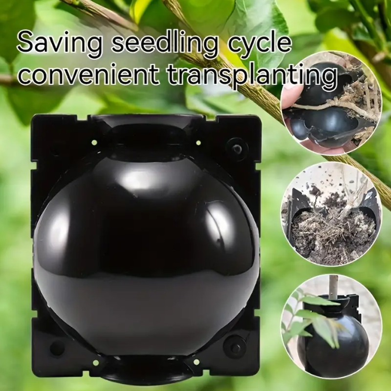 EcoRoot™ Box per la crescita delle radici delle piante