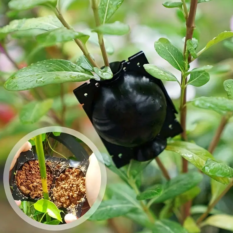 EcoRoot™ Box per la crescita delle radici delle piante