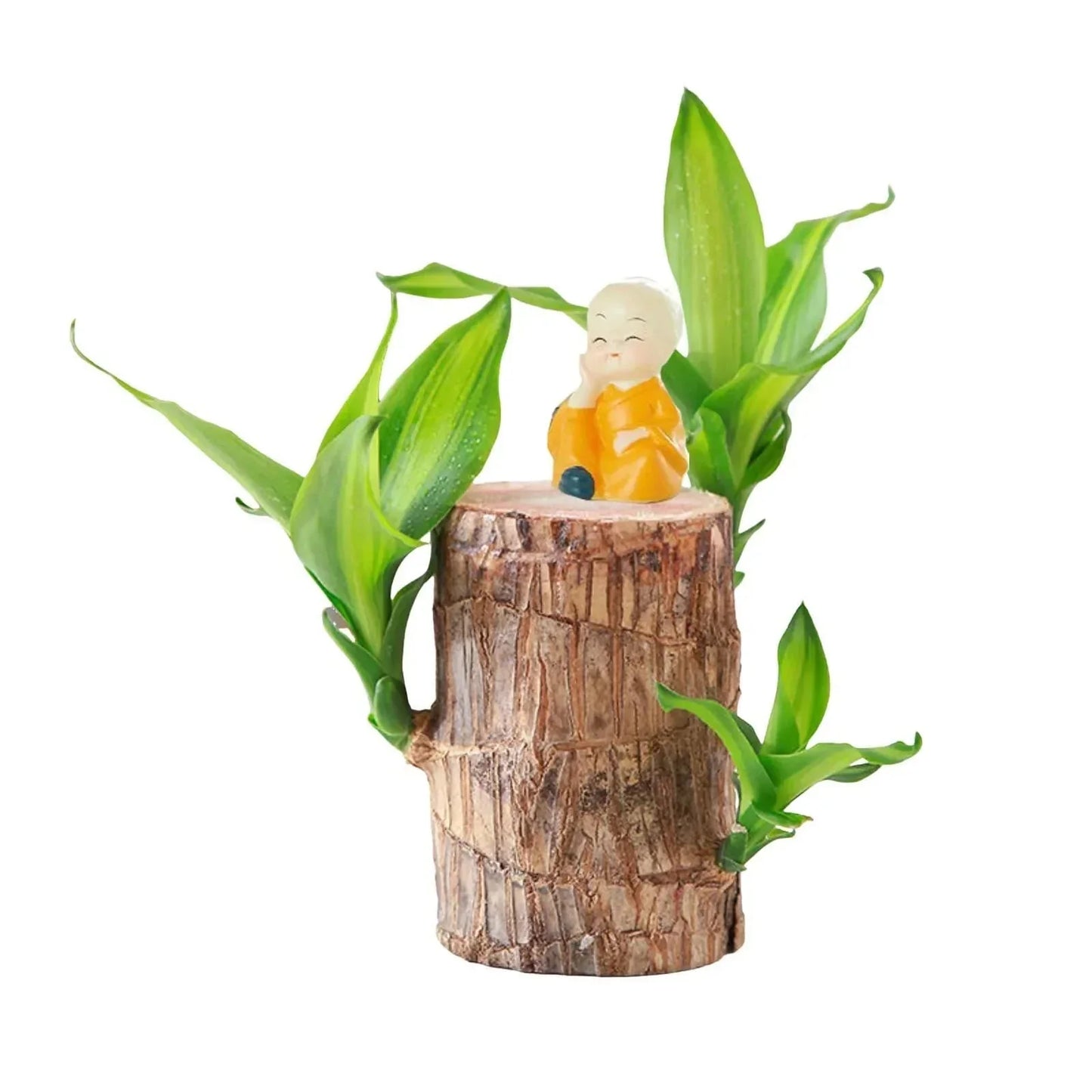 LuckyWood™ Pianta di legno in vaso