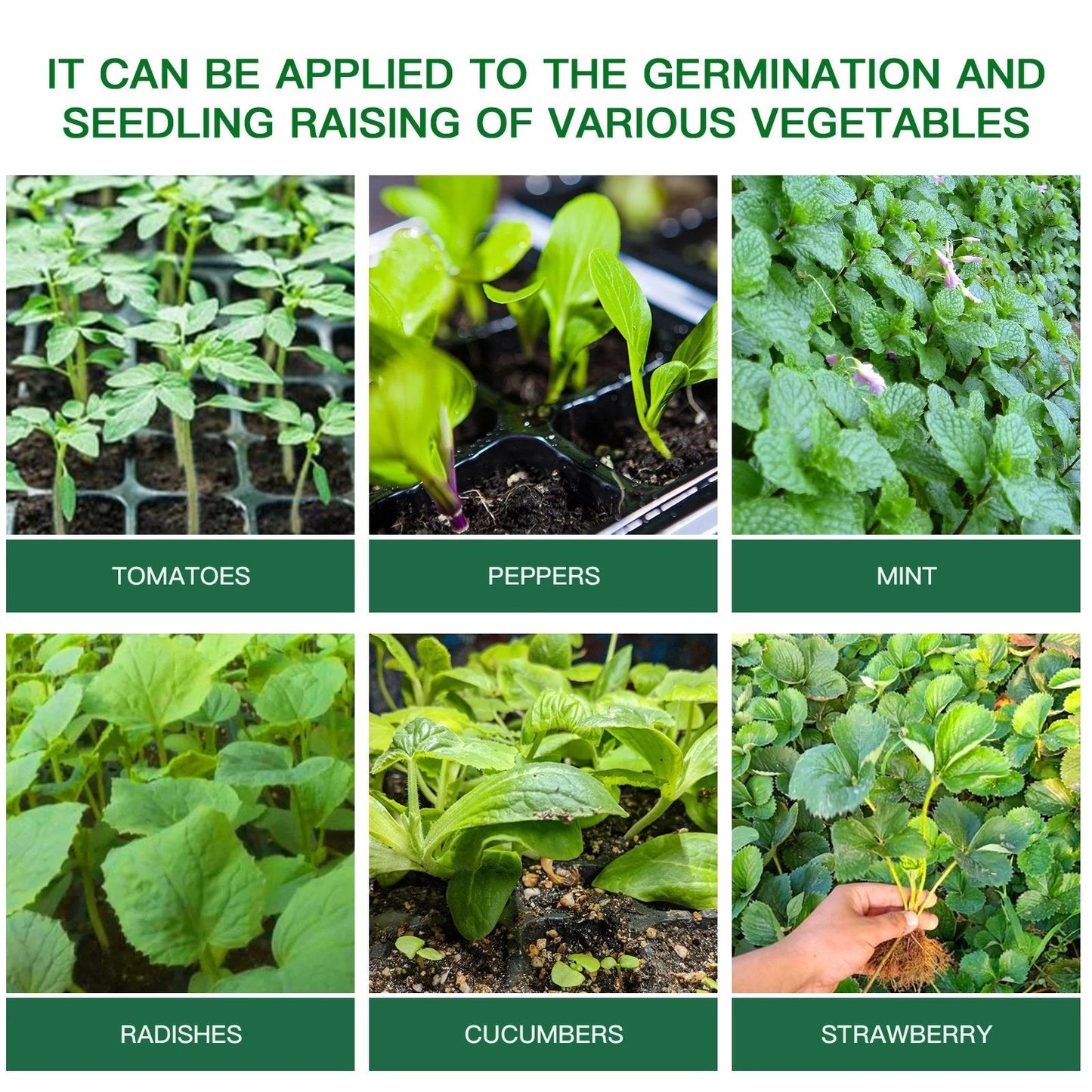 PlantPod™ Piantatrice di semi con umidità regolabile