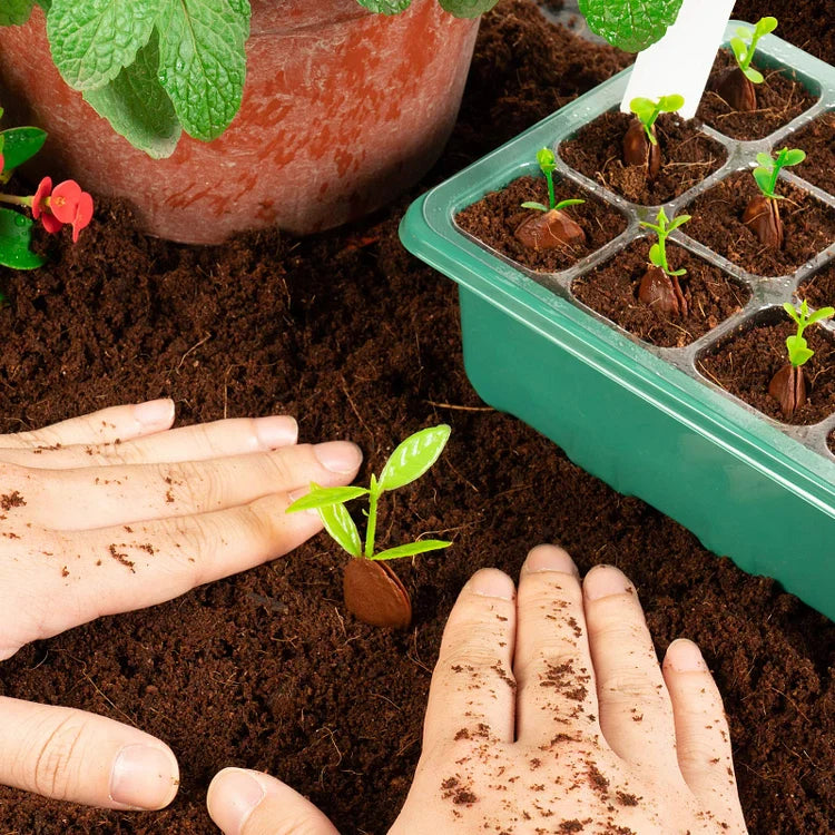 PlantPod™ Piantatrice di semi con umidità regolabile