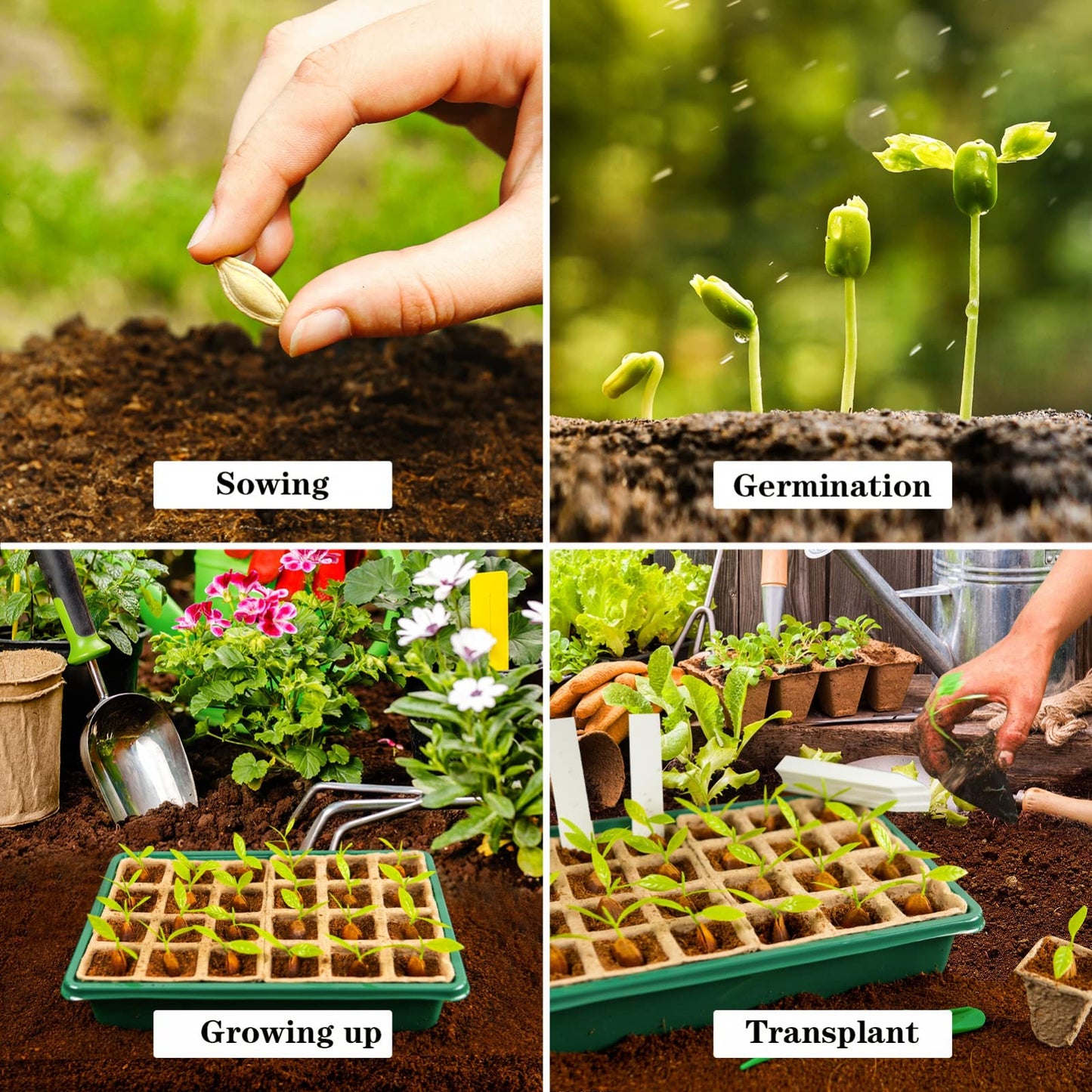 PlantPod™ Piantatrice di semi con umidità regolabile