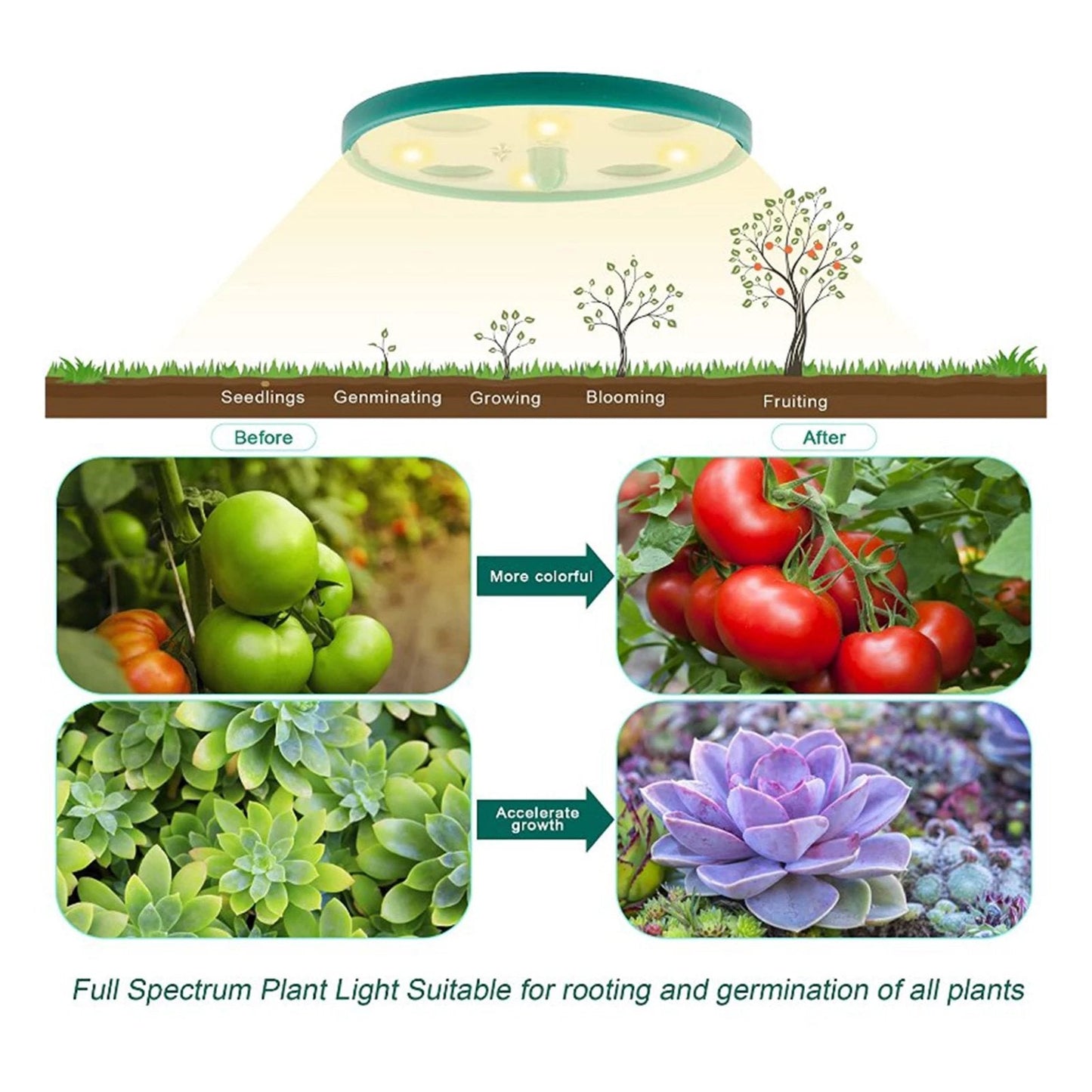 PlantPod™ Piantatrice di semi con umidità regolabile