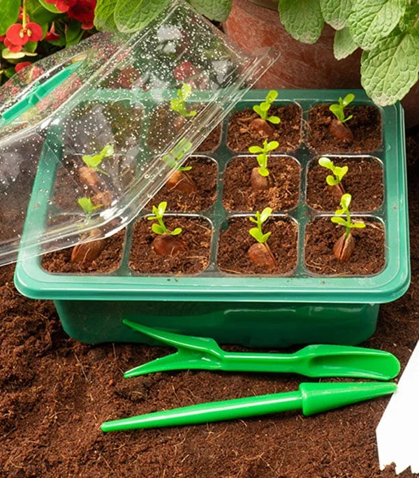 PlantPod™ Piantatrice di semi con umidità regolabile