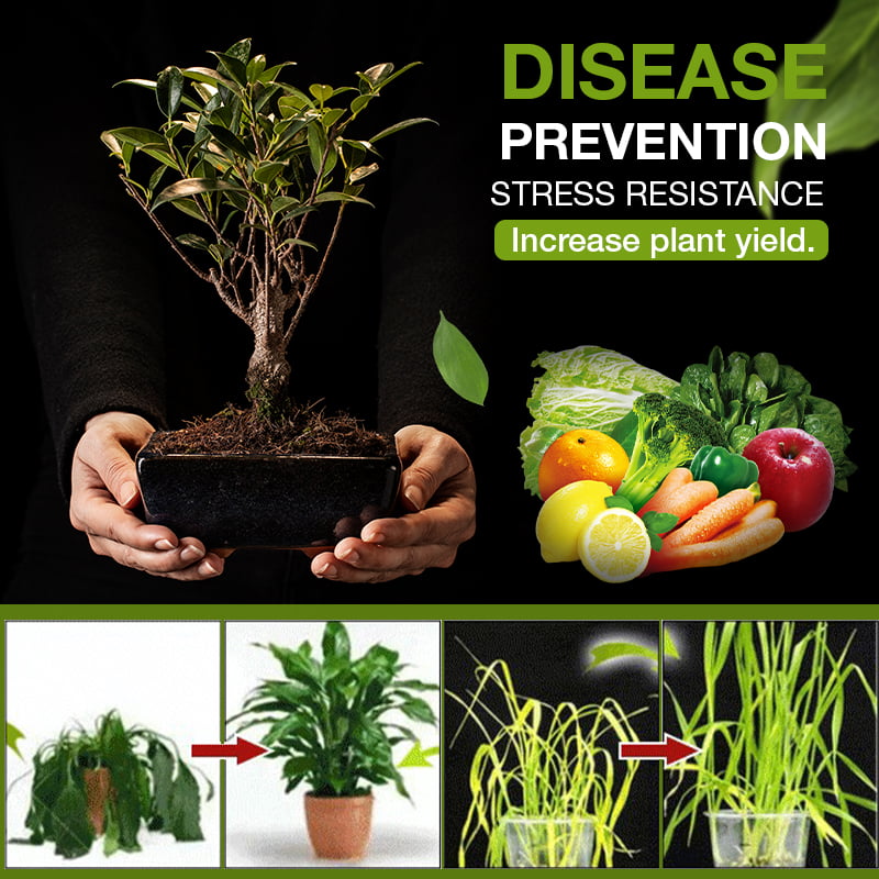 Soil Treasure™️ Regolazione completa della crescita e dello sviluppo delle piante!