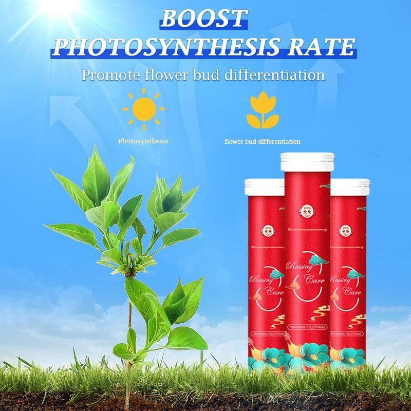 VegiBloom™ Compresse naturali per la coltivazione delle piante