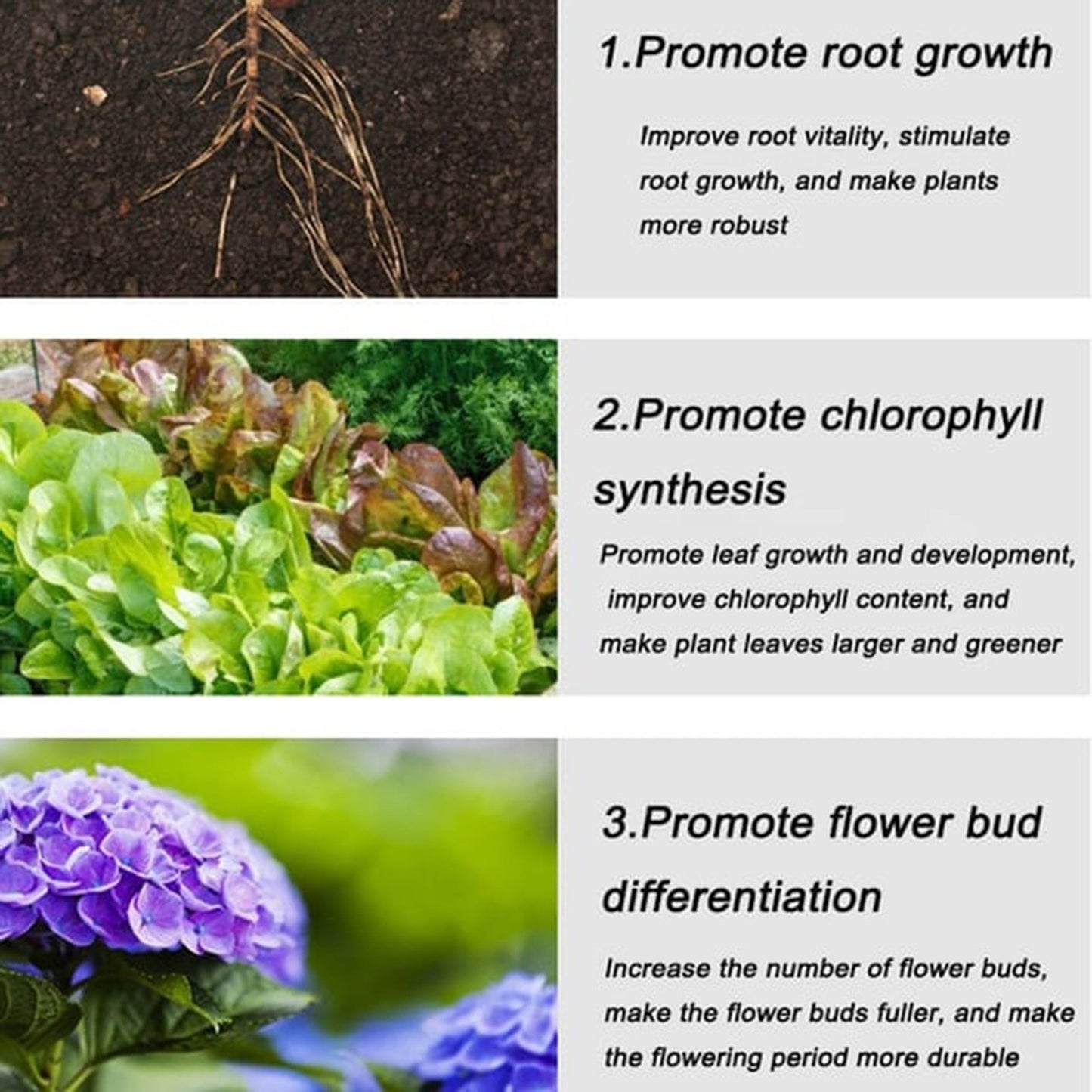 VegiBloom™ Compresse naturali per la coltivazione delle piante